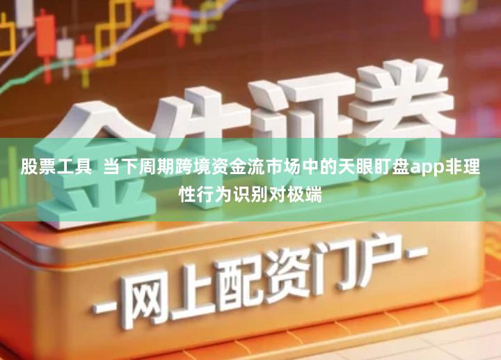股票工具  当下周期跨境资金流市场中的天眼盯盘app非理性行为识别对极端