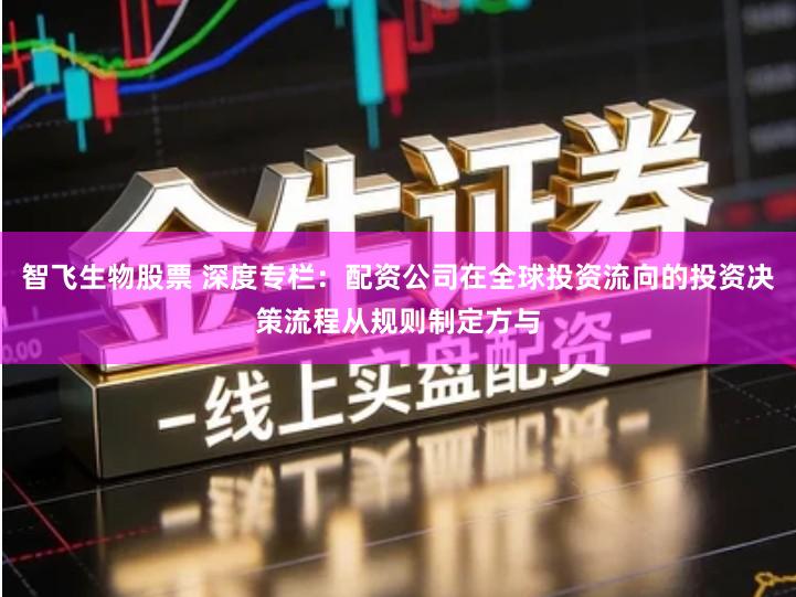 智飞生物股票 深度专栏：配资公司在全球投资流向的投资决策流程从规则制定方与